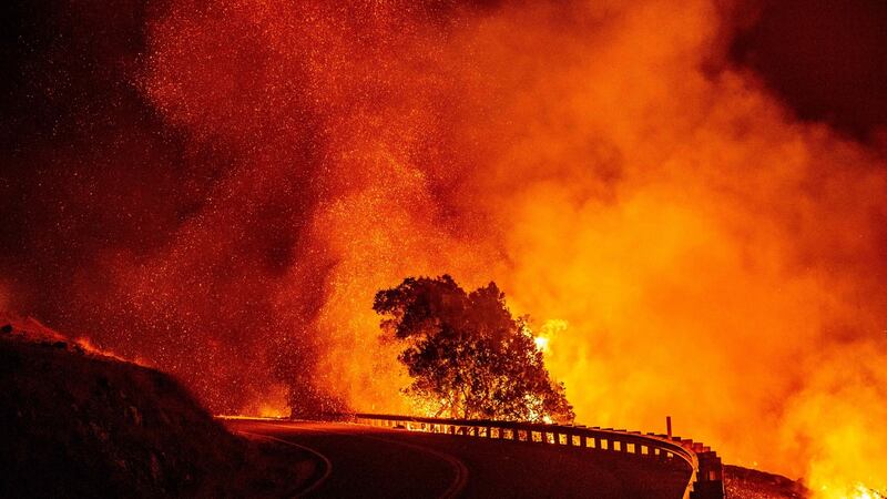 Embers rise above a burning tree along a road during the Kincade Fire near Geyserville, California. Photograph: Josh Edelson/AFP via Getty Images