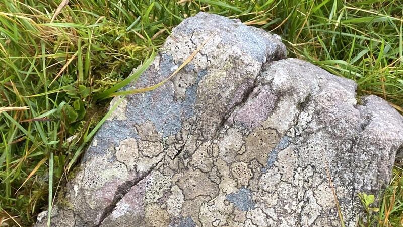 Rock with lichens spotted by James Scallon at Sauce Creek in Kerry