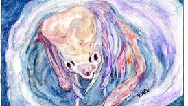 Alien invasion: strange creatures hitching a lift to a shore near you