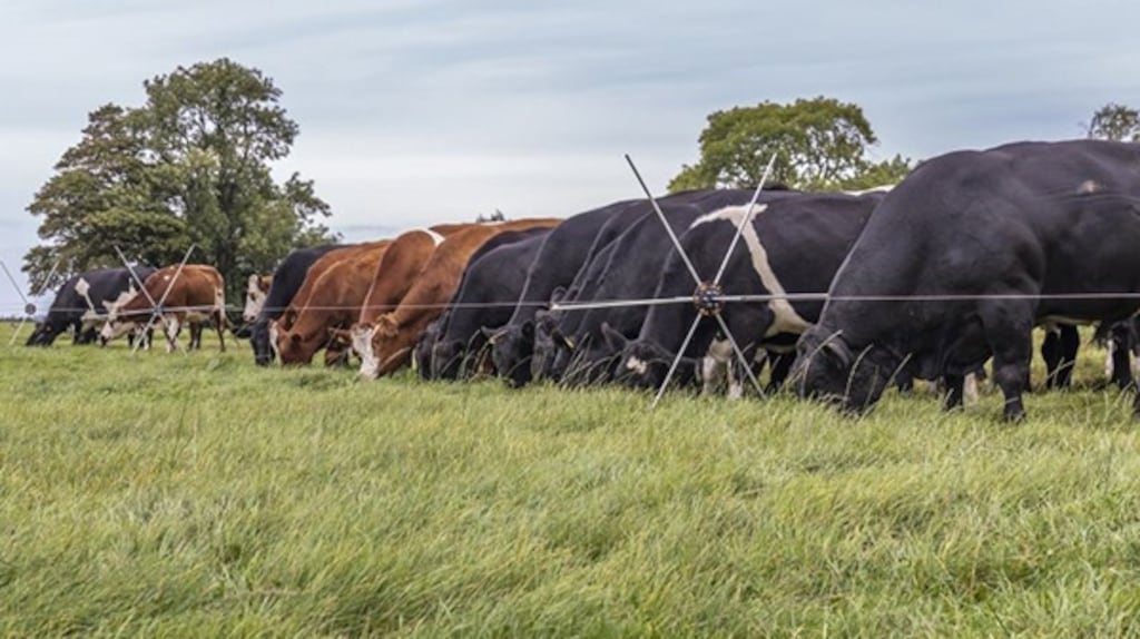 GrazeBot worked with technology gateways to develop Fresh Graze, an automated moving fence system which allocates fresh grass to grazing animals.