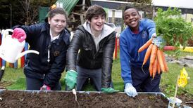 Benefits of urban growing go far beyond the food and the savings