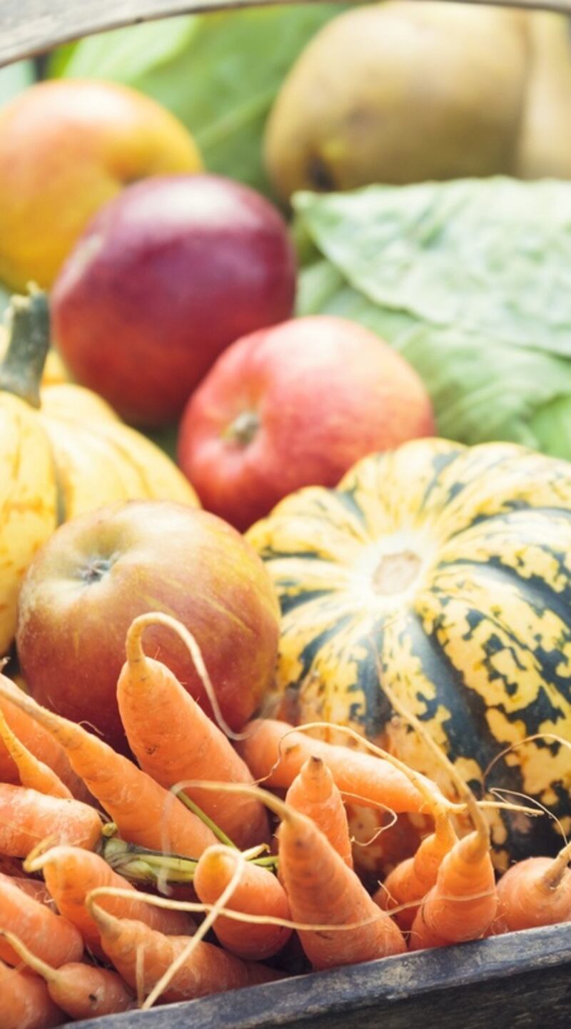 Harvesting and storing produce is as challenging as growing it. Photograph: iStock