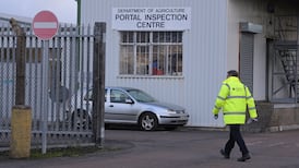 Northern Ireland-Britain supply chain is near breaking point, hauliers warn