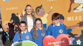 Irish-language education policy ‘ignores elephant in the room’, advocacy groups warn