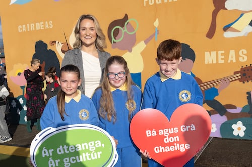 Irish-language education policy ‘ignores elephant in the room’, advocacy groups warn
