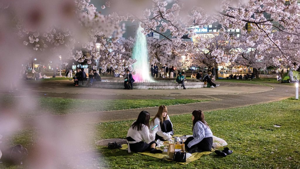 People gather to see the cherry blossoms at Kinshi Park in Tokyo. Photograph: Philip Fong/AFP via Getty Images