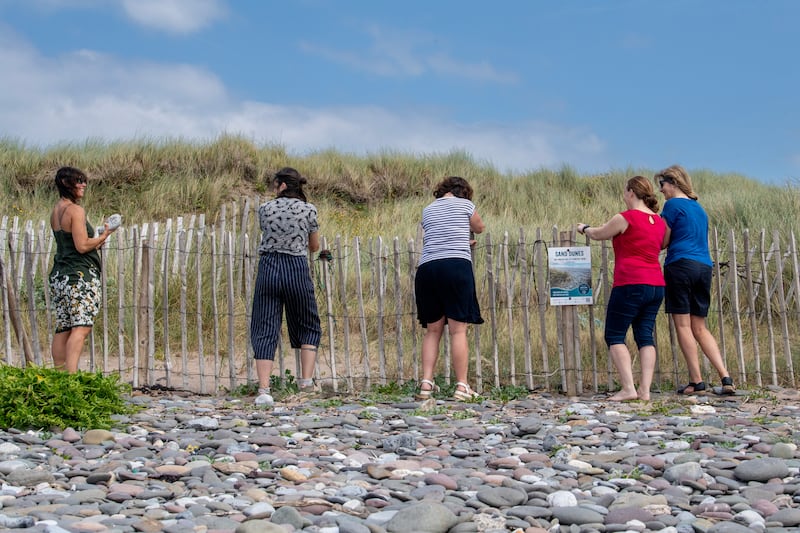 Maharees sand dunes: at work are Patricia Herrero, Zoe Rush, Deirdre de Bhailís, general manager of Dingle Hub, Jeanne Spillane, and Martha Farrell. Photograph: Domnick Walsh/Eye Focus