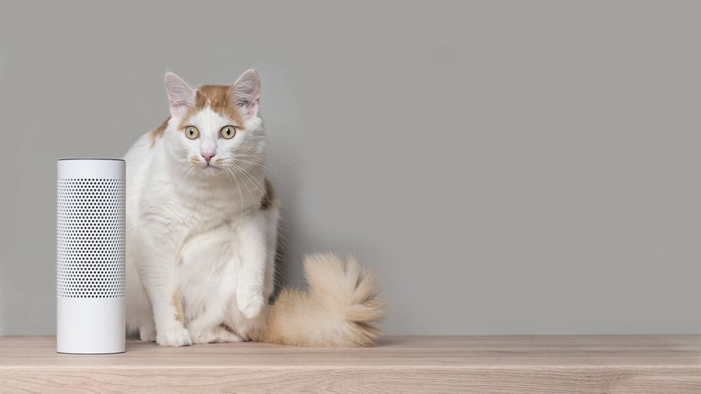 “If you have any sort of an accent, smart assistants can struggle to accept your commands. Kerry people may know more about that.” Photograph: Getty Images