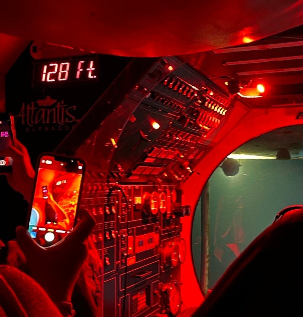 Rosita Boland's trip in a submersible