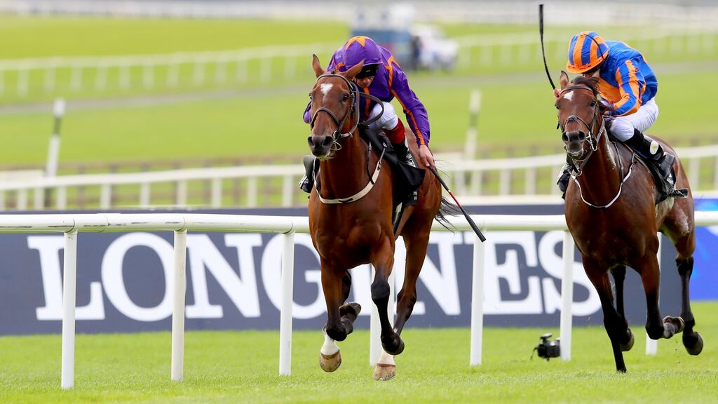 Frankie Dettori drives Wicklow Brave to victory ahead of Order Of St George (Ryan Moore) in the Irish St Leger at the Curragh last month. Photograph: James Crombie/Inpho