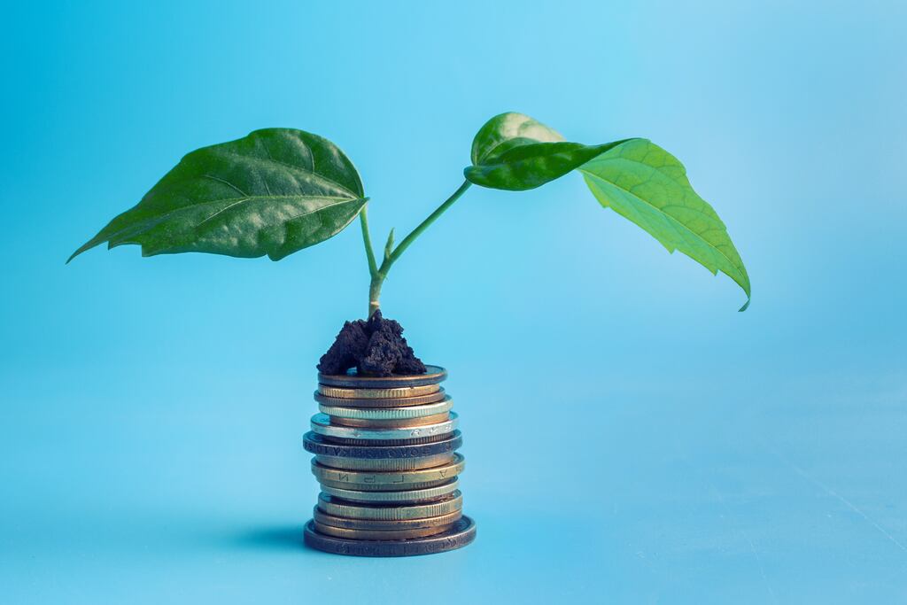 Certain investment standards must be met and disclosed before a fund can be classified as having a sustainable investment objective. Photograph: iStock