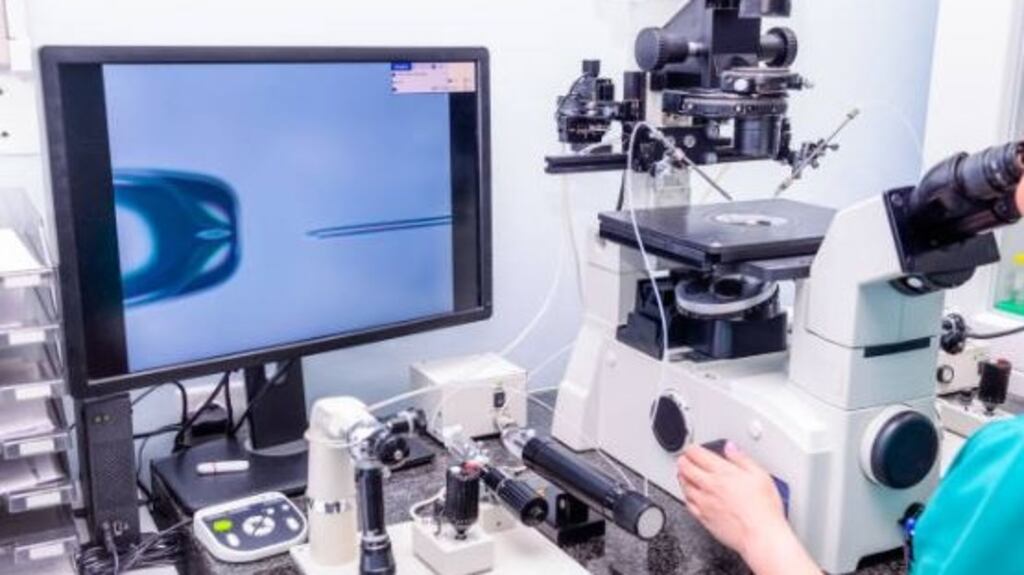 In Vitro Fertilisation (IVF) treatment in Ireland is currently available only to private patients, who are struggling with fertility. File photograph: iStockPhoto