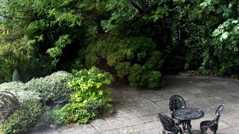Garden at Apartment No 2, 11 Harcourt Terrace, Dublin 2