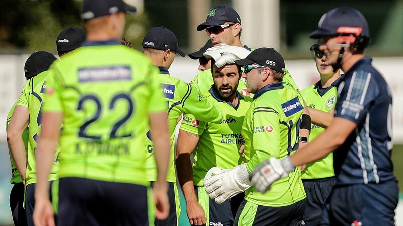 Ireland celebrate a Stuart Thompson wicket against Scotland. Photograph: Laszlo Geczo/Inpho