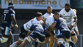 Connacht must be wary of a cornered animal