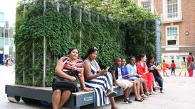 A green pursuit: seeking nature-based solutions for cities