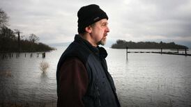 November: even the cat is thinking of death