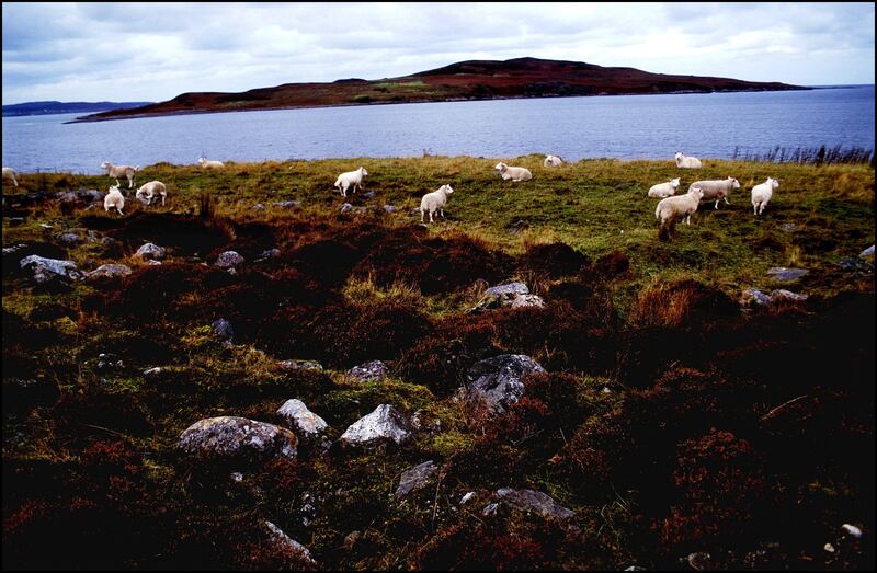 Guinard Island, Scotland, contaminated with Anthrax after a British government chemical weapons experiment