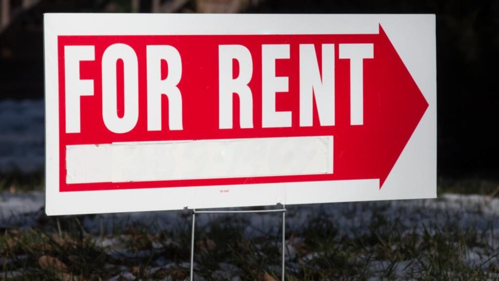 Stephen McCarthy of Savills said that given the strong fundamentals it was no great surprise that so many traders were chasing the new outlet.