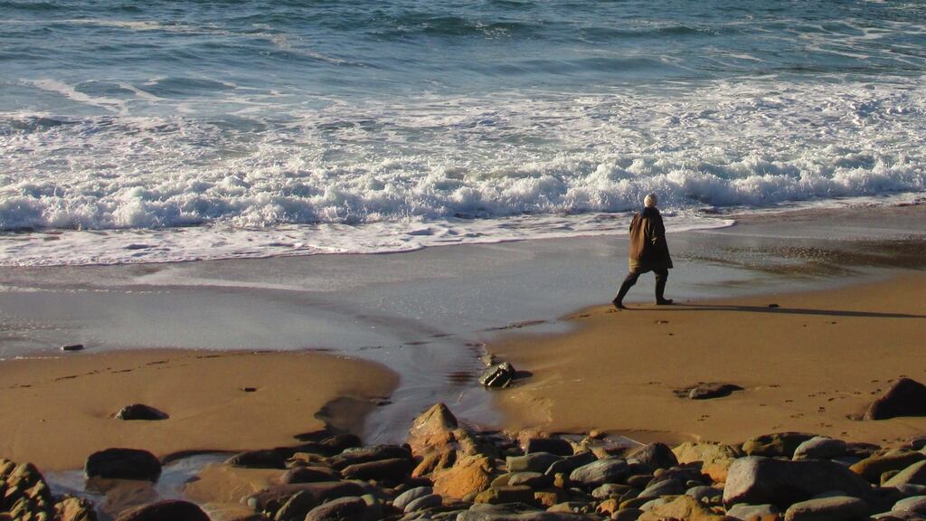 Felicity Hayes-McCoy on a lockdown walk in Kerry. Photograph: Wilf Judd