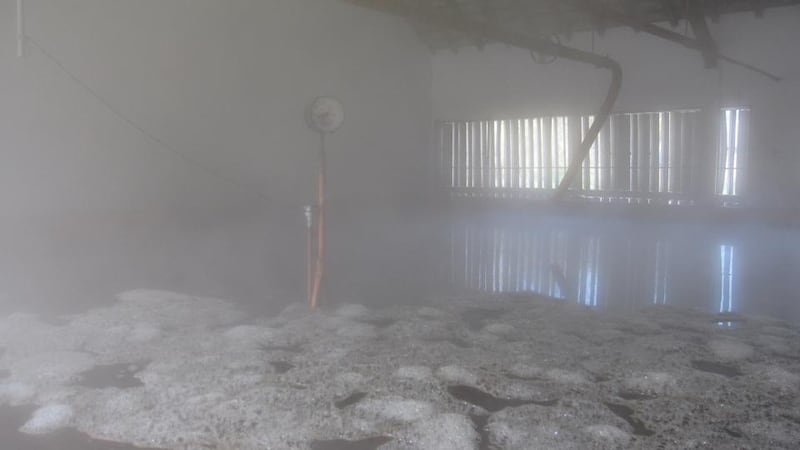 Lambic brewing: the koelschip, or cooling trough, at Timmermans in Belgium. Photograph: Bernt Rostad