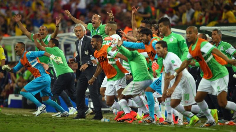 The Algeria bench celebrates after a 1-1 draw during with Russia at Arena da Baixada in Curitiba. Photograph: Clive Rose/Getty Images