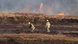 Gorse fires continue to cause havoc