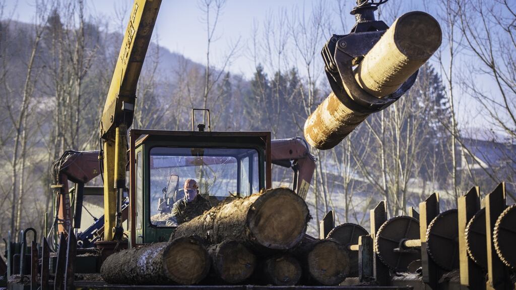 The Hardware Association Ireland has outlined risks to the timber sector as a result of Brexit. Photograph: iStock
