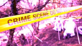 The true-crime dilemma: ‘Family of people who have been harmed could hear these stories’