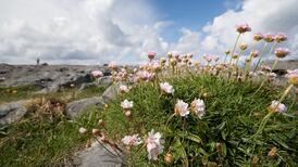 Understanding how humans have shaped landscapes can guide us in the future