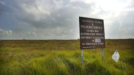 Flooding ‘not an issue’ at most bog rewetting sites, committee told