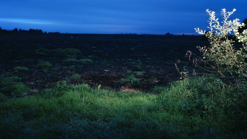 David Farrell’s OristownTwilight (1999)
