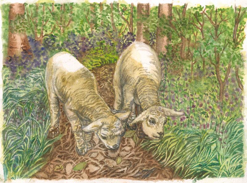 Second prize in category E: Lost Little Lambs (Moate Park, Roscommon) by Nicholas Glynn (8) of All Saints' National School, Mullingar, Co Westmeath.