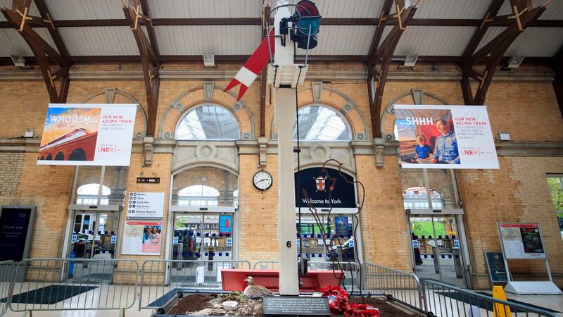 A goose sits on her four eggs as she nests in York railway station, in the UK. Photograph: Danny Lawson/PA
