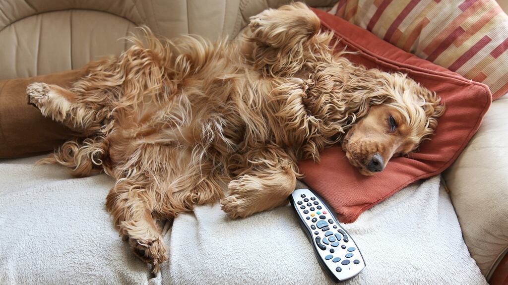 Want to catch all the Trump Clinton action? It’s time for tactical thinking