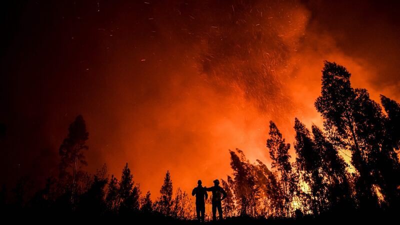 Firefighters monitor the progression of a wildfire at Amendoa in Macao, central Portugal in July 2019. Photograph: AFP via Getty Images