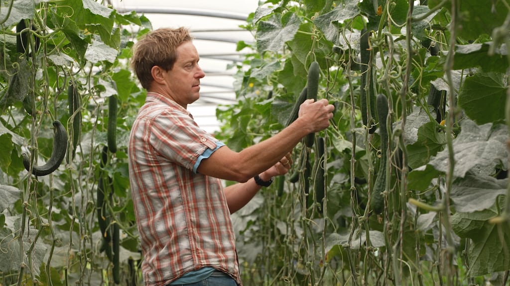 Organic farmer Kenneth Keavey of Green Earth Organics in Co Galway