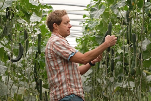 Step into organic farming: Kenneth Keavey farms with a circular vision