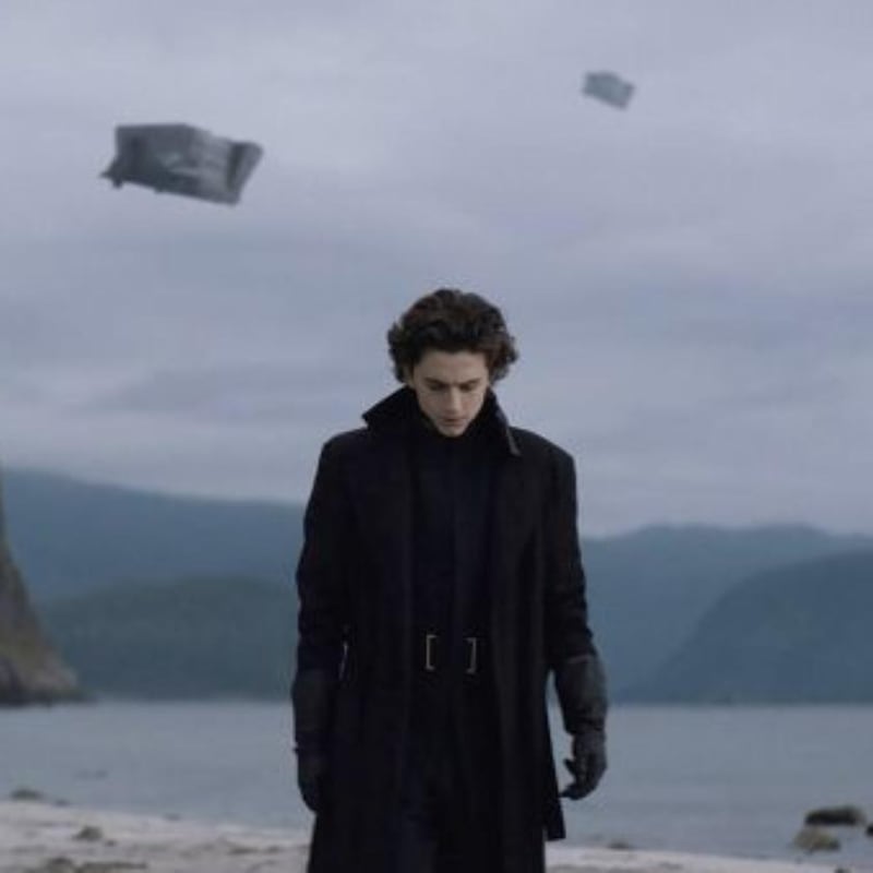 Timothée Chalamet in Dune