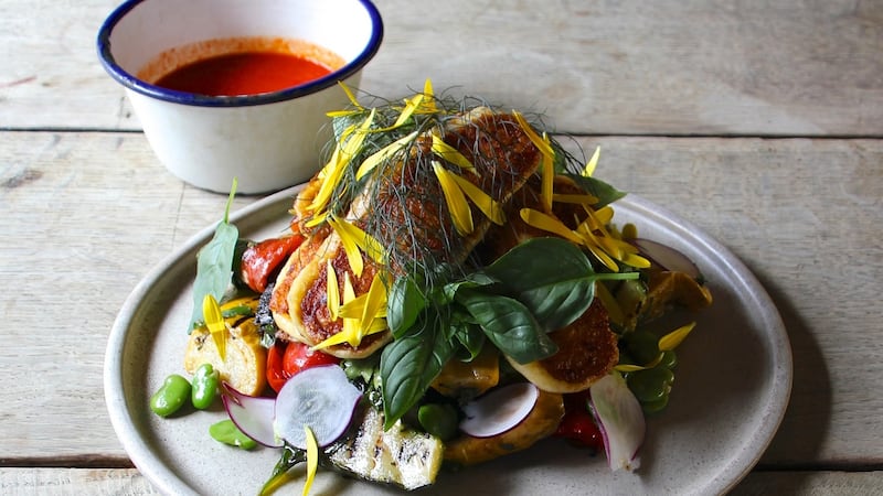 Roasted yellow courgettes with halloumi and mojo dressing