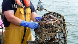 Fisheries authority breached law in withholding approval for weighing system, court finds