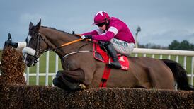 Willie Mullins to make call on headgear for Don Poli