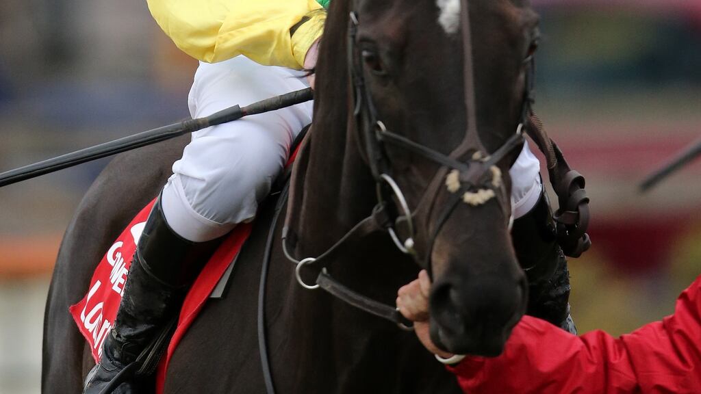 Jamie Flynn on Goonyella. Photo: James Crombie/Inpho