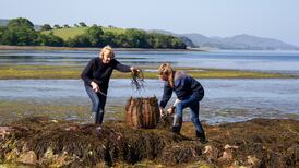 From Famine to feast: the Irish seaweed revival