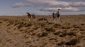 Ambassador of Nowhere: A Latin American Pilgrimage - inquisitive journeying