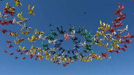 Skydiver dies during record group-jump attempt in Arizona