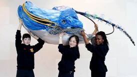 Project on plastic pollution wins top prize at Eco Unesco awards