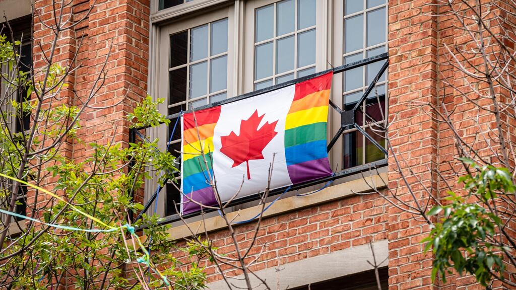 Members of Canada’s House of Commons have voted unanimously to ban LGBT conversion therapy, which seeks to change a person’s sexual orientation or gender identity. Photograph: iStock