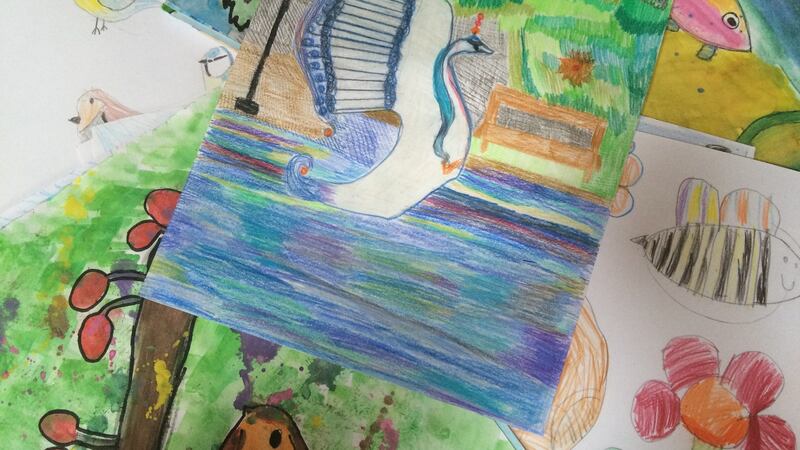 Wild Postcard Project: some of the more than 300 entries received so far; birds, butterflies and foxes are the most popular subjects