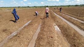 Climate shocks forcing African communities to change course